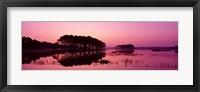 Panoramic View Of The National Forest During Sunset, Chincoteague National Wildlife Refuge, Virginia, USA Fine Art Print