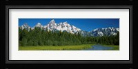 Trees along a river, Near Schwabachers Landing, Grand Teton National Park, Wyoming Fine Art Print