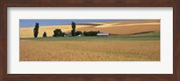 Farm, Saint John, Washington State, USA Fine Art Print