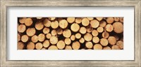 Marked Wood In A Timber Industry, Black Forest, Germany Fine Art Print