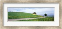 Road Fields Aargau Switzerland Fine Art Print