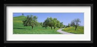 Road Cantone Zug Switzerland Fine Art Print