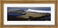 Rock formations at the coast, Fernandina Island, Galapagos Islands, Ecuador Fine Art Print