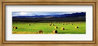 Haystacks, Field, Jackson County, Colorado, USA Fine Art Print