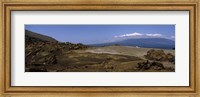 Landscape with ocean in the background, Isabela Island, Galapagos Islands, Ecuador Fine Art Print