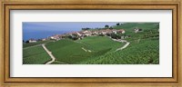 Vineyards overlooking Lake Geneva, Switzerland Fine Art Print