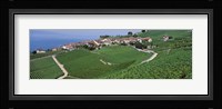Vineyards overlooking Lake Geneva, Switzerland Fine Art Print