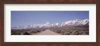 USA, California, Sierra Nevada, Bushes on both sides of a road Fine Art Print