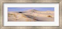 Sand dunes on an arid landscape, Monahans Sandhills State Park, Texas, USA Fine Art Print