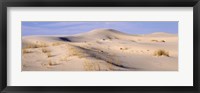 Sand dunes on an arid landscape, Monahans Sandhills State Park, Texas, USA Fine Art Print