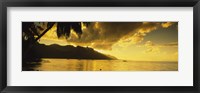 Silhouette Of Palm Trees At Dusk, Cooks Bay, Moorea, French Polynesia Fine Art Print