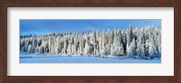 Winter Wawona Meadow Yosemite National Park CA USA Fine Art Print
