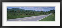 Road passing through a landscape, Virginia State Route 231, Madison County, Virginia, USA Fine Art Print