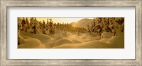 Sunset, Turnagain Pass, Alaska, USA Fine Art Print