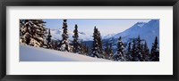 Winter Chugach Mountains AK Fine Art Print