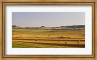 Slope country ND USA Fine Art Print
