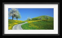 Winding Road Canton Switzerland Fine Art Print