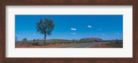 Road Ayers Rock Uluru-Kata Tjuta National Park Australia Fine Art Print