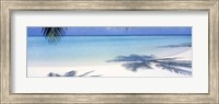 Palm shadows, Laguna Maldives Fine Art Print