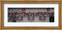 Windows with Colorful Flower Boxes, Appenzell Switzerland Fine Art Print