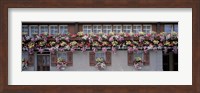 Windows with Colorful Flower Boxes, Appenzell Switzerland Fine Art Print