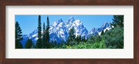 Snow covered peaks, Grand Teton National Park WY Fine Art Print