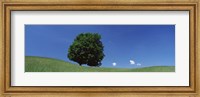 View Of A Lone Tree On A Hillside In Summer Fine Art Print
