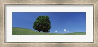 View Of A Lone Tree On A Hillside In Summer Fine Art Print