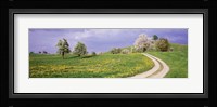 Meadow Of Dandelions, Zug, Switzerland Fine Art Print