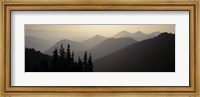 Mount Rainier National Park WA USA Fine Art Print