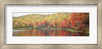 Savoy Mountain State Forest, Massachusetts, USA Fine Art Print