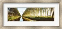 Belgium, tree lined waterway through countryside Fine Art Print
