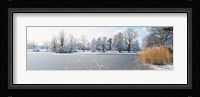 Snow covered trees near a lake, Lake Schubelweiher Kusnacht, Zurich, Switzerland Fine Art Print