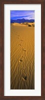 Footprints, Death Valley National Park, California, USA Fine Art Print