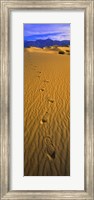 Footprints, Death Valley National Park, California, USA Fine Art Print