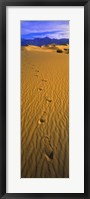 Footprints, Death Valley National Park, California, USA Fine Art Print