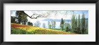 Lake Constance, Insel Mainau, Germany Fine Art Print