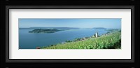 Vineyard near a village, Lake Biel, Ligerz, Canton of Bern, Switzerland Fine Art Print