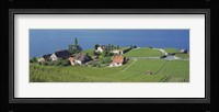 Aerial View Of Vineyards By A Lake, Lake Geneva, Vaud, Switzerland Fine Art Print