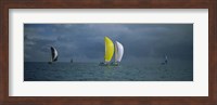 Sailboat race Key West, Florida Fine Art Print