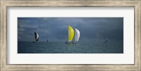 Sailboat race Key West, Florida Fine Art Print