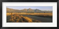 Road running through a farm, South Africa Fine Art Print