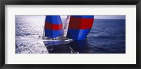 High angle view of a yacht in the sea, Caribbean Fine Art Print