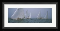 Sailboats at regatta, Newport, Rhode Island, USA Fine Art Print