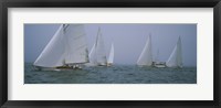 Sailboats at regatta, Newport, Rhode Island, USA Fine Art Print