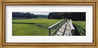 Boardwalk in a field, Nauset Marsh, Cape Cod, Massachusetts, USA Fine Art Print