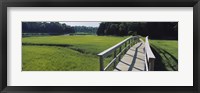 Boardwalk in a field, Nauset Marsh, Cape Cod, Massachusetts, USA Fine Art Print