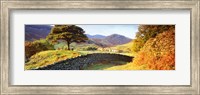 Lake District, United Kingdom Fine Art Print
