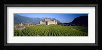 Vineyard in front of a castle, Aigle Castle, Musee de la Vigne et du Vin, Aigle, Vaud, Switzerland Fine Art Print