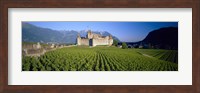 Vineyard in front of a castle, Aigle Castle, Musee de la Vigne et du Vin, Aigle, Vaud, Switzerland Fine Art Print